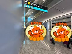 -杭州萧山国际机场