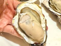 -好日子皇冠假日酒店·君怡咖啡厅(特美思大厦店)