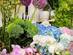 -FEI FEI FLOWER鲜花店·气球派对·宝宝宴布置(虹口德必运动Loft店)
