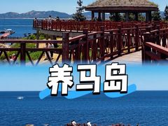 -养马岛旅游度假区
