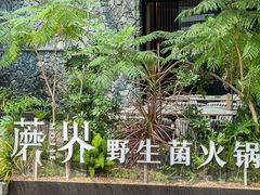 -蘑界·野生菌火锅(深业上城店)