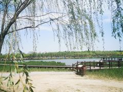 -西青郊野公园