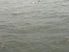 -三娘湾旅游风景区