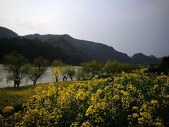 -新安江山水画廊风景区