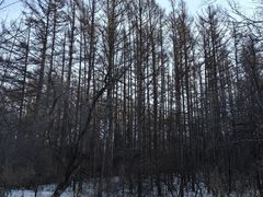 -长春净月潭风景名胜区