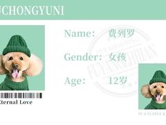 -读宠于你·约克夏比熊·睫角守宫·爬宠售卖(高新店)