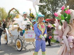 -荷兰花海