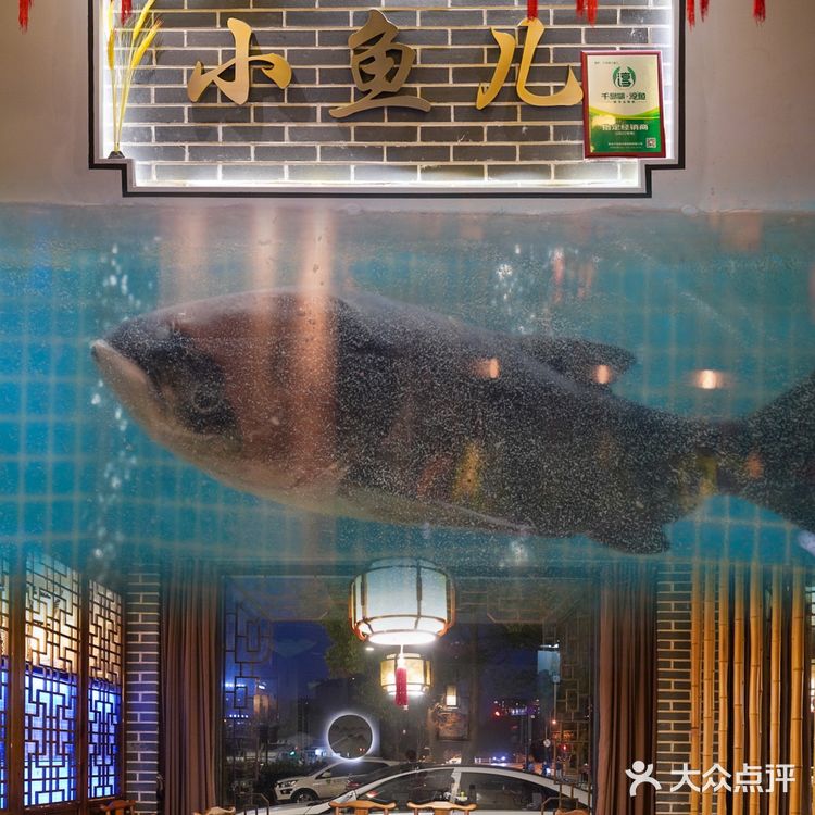  上百种农家菜🐟家门口就能吃到正宗千岛湖大鱼头