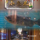  上百种农家菜🐟家门口就能吃到正宗千岛湖大鱼头