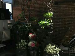 -热度餐厅(老佛爷店)