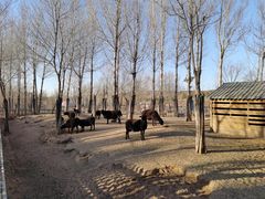 -鄂尔多斯野生动物园