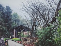 -远山有窑