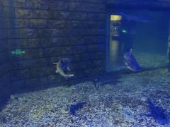 -泸州欢乐派海滩公园