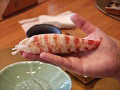 -鮨冠OMAKASE食べ放题(北京首店)