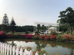 -迪茵湖田家舍生态农场