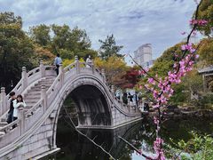 -南园(太仓市)