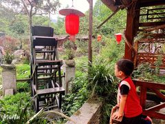 -青城甲(青城山店)