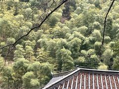 -长谷洞天