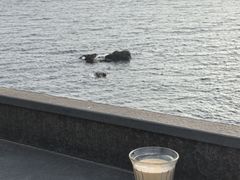-Vanillacafe香草咖啡(银海大世界店)