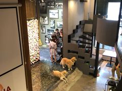 -百好乐宠物友好餐厅(朝外大街店)