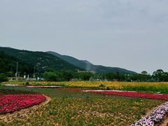 -宁波松兰山滨海旅游度假区