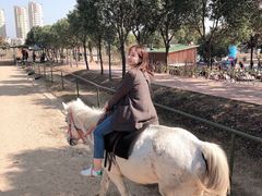 -扬州天乐湖嬉乐谷