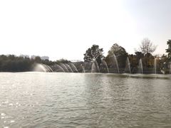 景点-郑州植物园