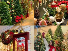 -双季花艺园艺市场(浦东店)