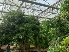 -南通洲际绿博园