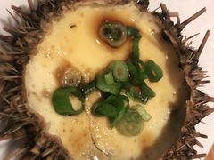 -海胆小馆(东北水饺·春柳店)