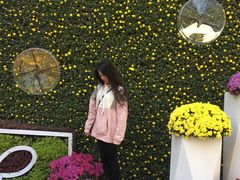 -汇龙潭