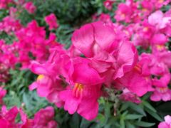 -人民公园(罗湖区)