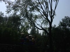 -成飞公园