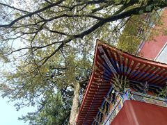 -终南山南五台景区