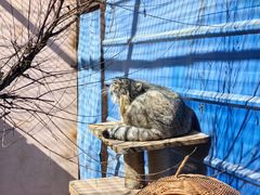 -青藏高原野生动物园