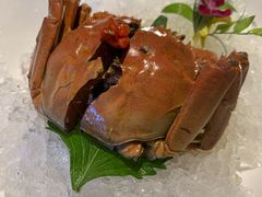 -蟹榭·本帮江浙菜·蟹宴(五角场合生汇商场店)