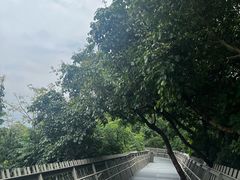 -福道
