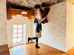 -金山农民画村-枫泾波兰倒置屋