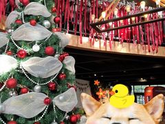 -旧雨咖啡·CoffeeFORU(黄村奥体店)