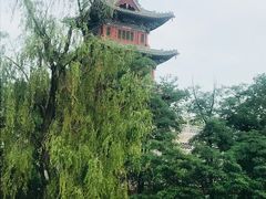 -迎泽公园