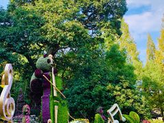 -杭州植物园