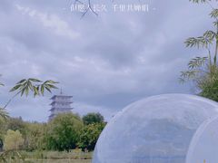 -Supine Bistro溯泮餐厅