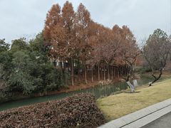 -青枫公园