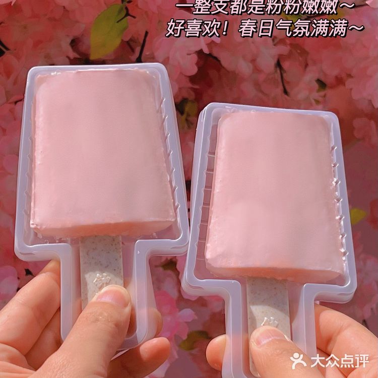 单方面宣布2022坠坠好吃好看的雪糕就是它
