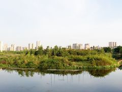 -眉山湿地公园(东坡区)