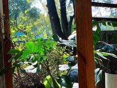 -谷咖啡·鲜花绿植花园餐厅
