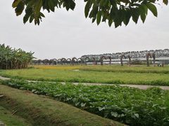 -迪茵湖田家舍生态农场