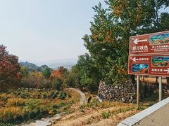 -塔川景区