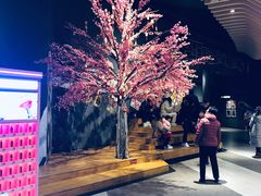 -新影联·华谊兄弟影院(望京店)