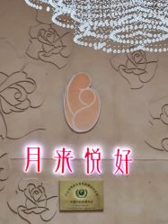-月来悦好国际月子会所